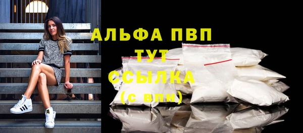 a pvp Магас